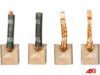 AS-PL SB5030 Carbon Brush, starter
